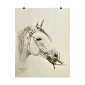Elegant - Image 4