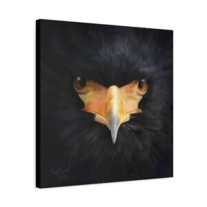 Black - Image 4