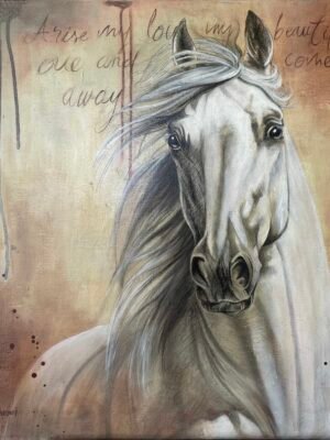 Horse Art Prints