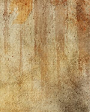 Flow  01 - Image 2