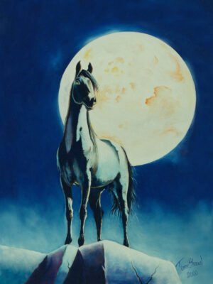 Night Watcher