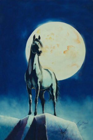 Night Watcher