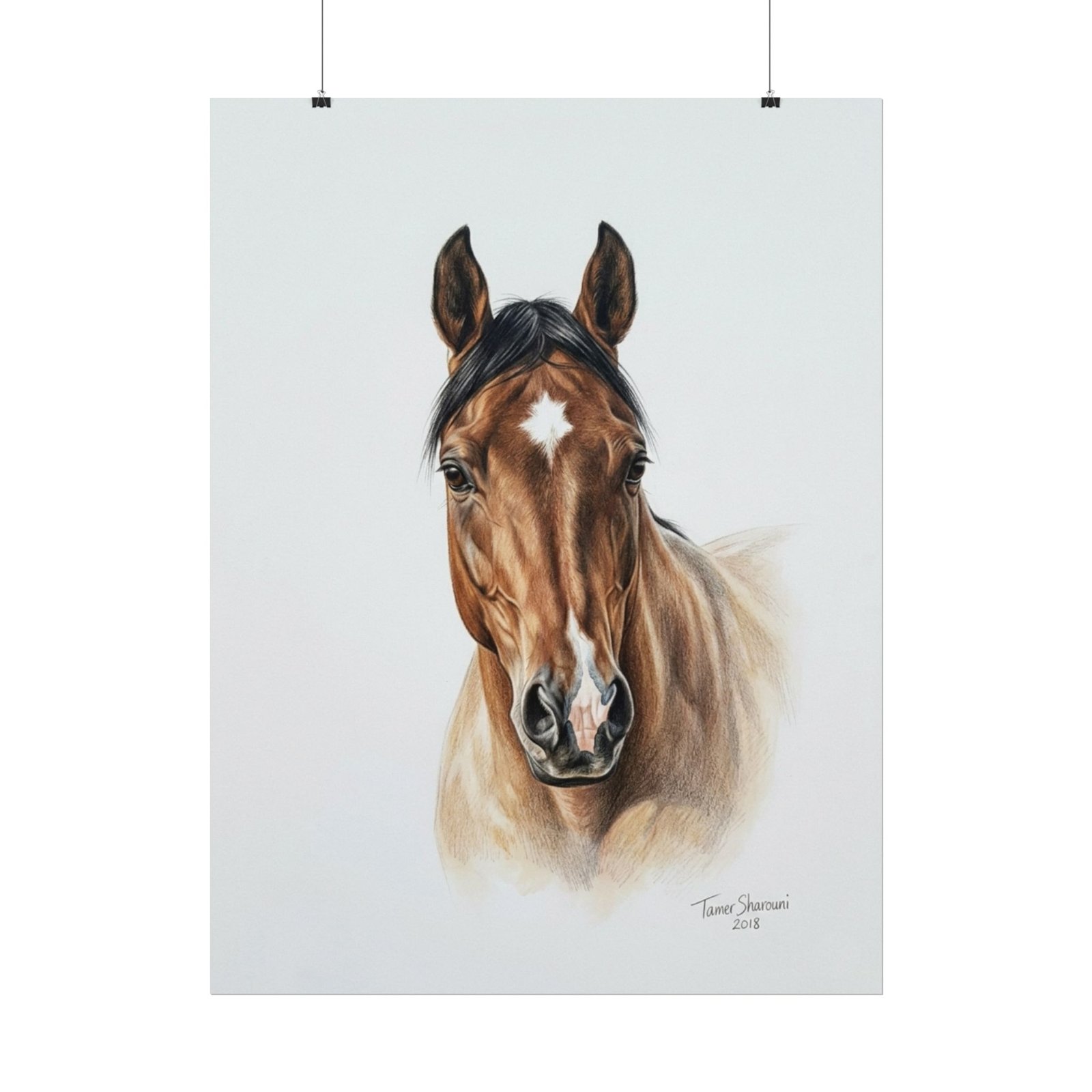 Magnificent - Image 4