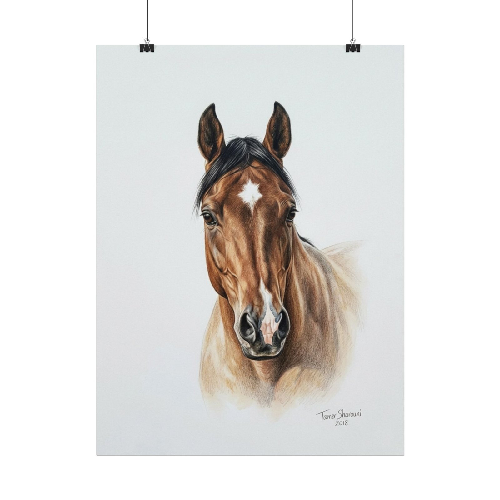 Magnificent - Image 3