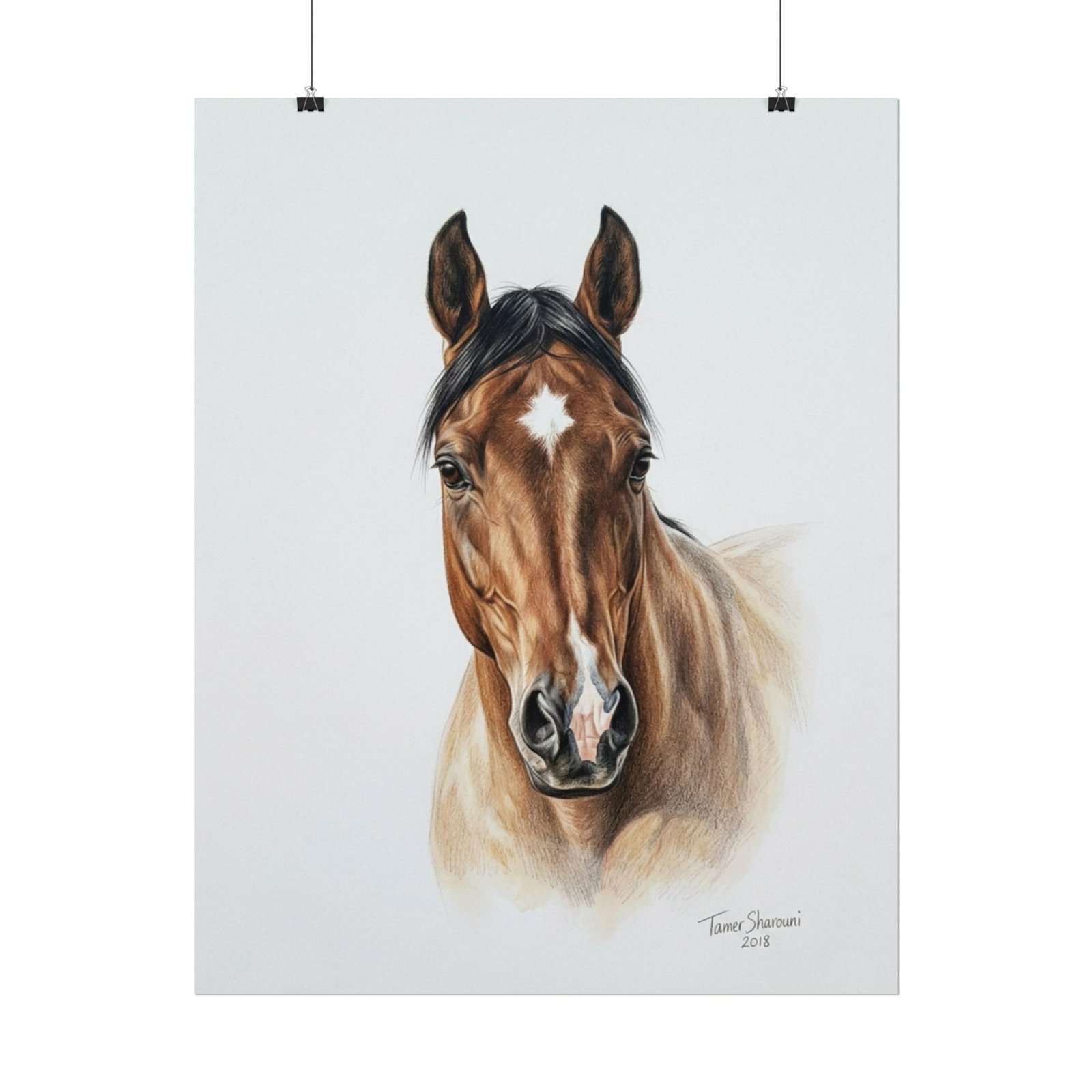 Magnificent - Image 2